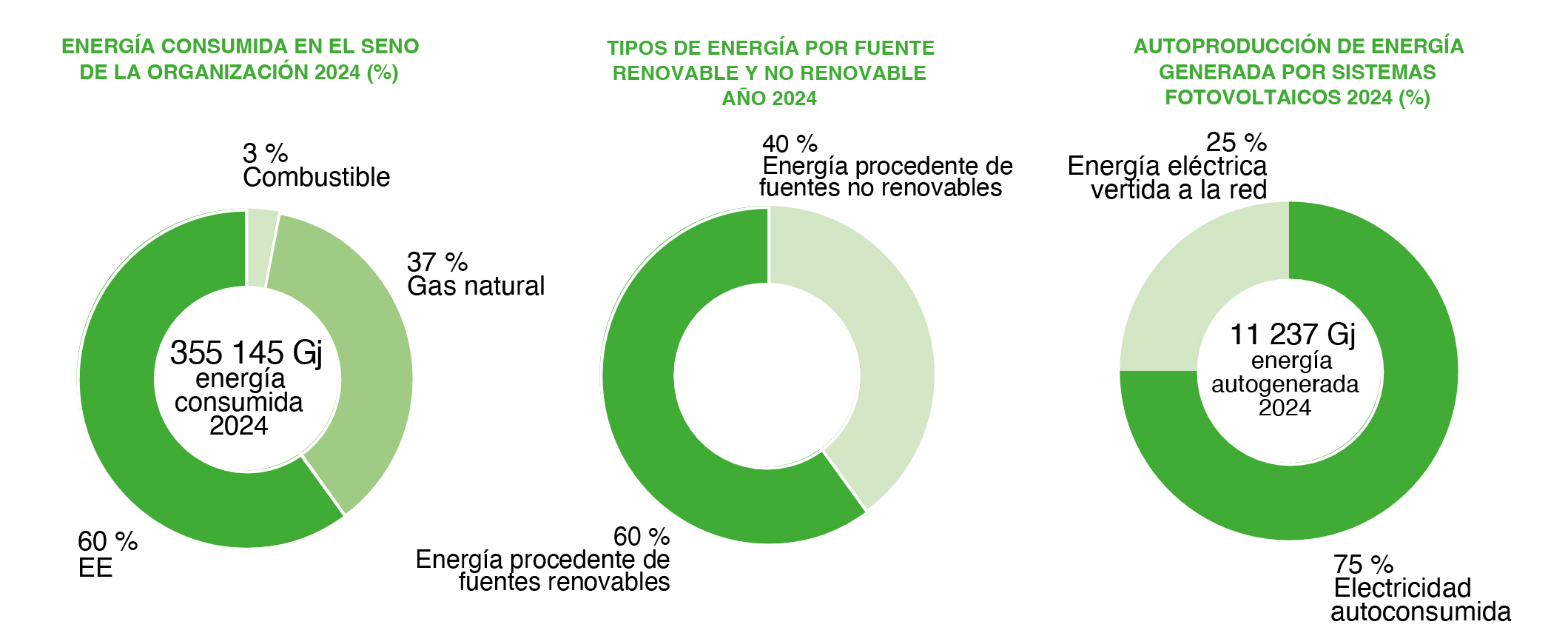 PADANATUBI_grafico_gest_energetica_ed_EmissioniSPA
